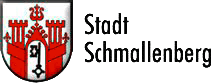 https://www.lehnenbau.de/_assets/img/logos/stastschmallenberg-logo.png